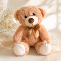 Plush Teddy Bear
